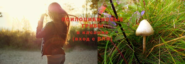 меф Арсеньев