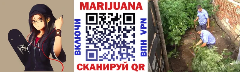 darknet Telegram  кракен как зайти  Дегтярск  Бошки Шишки SATIVA & INDICA 